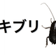 Image for article titled Why Sony Fans Are Called "Cockroaches" in Japan